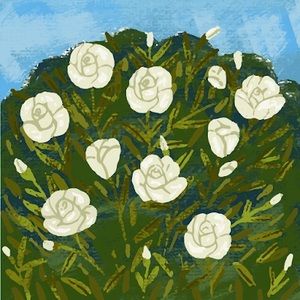 Meet your Posher, Simone